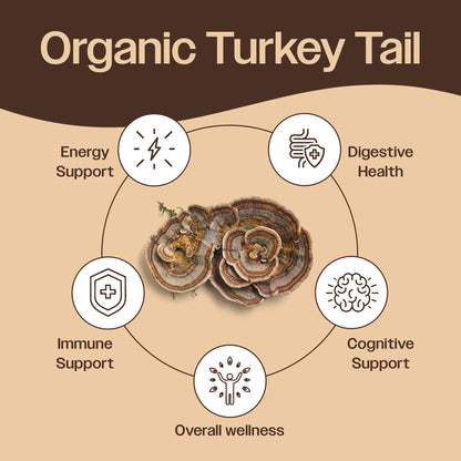Turkey Tail Mushroom Powder