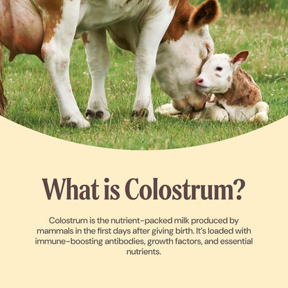 Grass-Fed Bovine Colostrum - Unflavored
